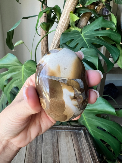 Cobra Jasper Palm Stone, Conglomerate Jasper, Double Point, Cobra Courage Gift