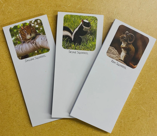 Wild Squirrels Trio
