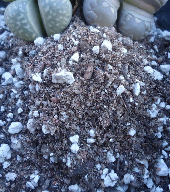 5lb. Lithops-Living Stones Soil Blend Free Shipping