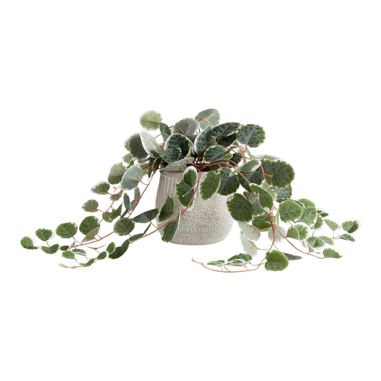 Faux String of Hearts Plant in Etched Cement Pot: Green - Plastic by World Market