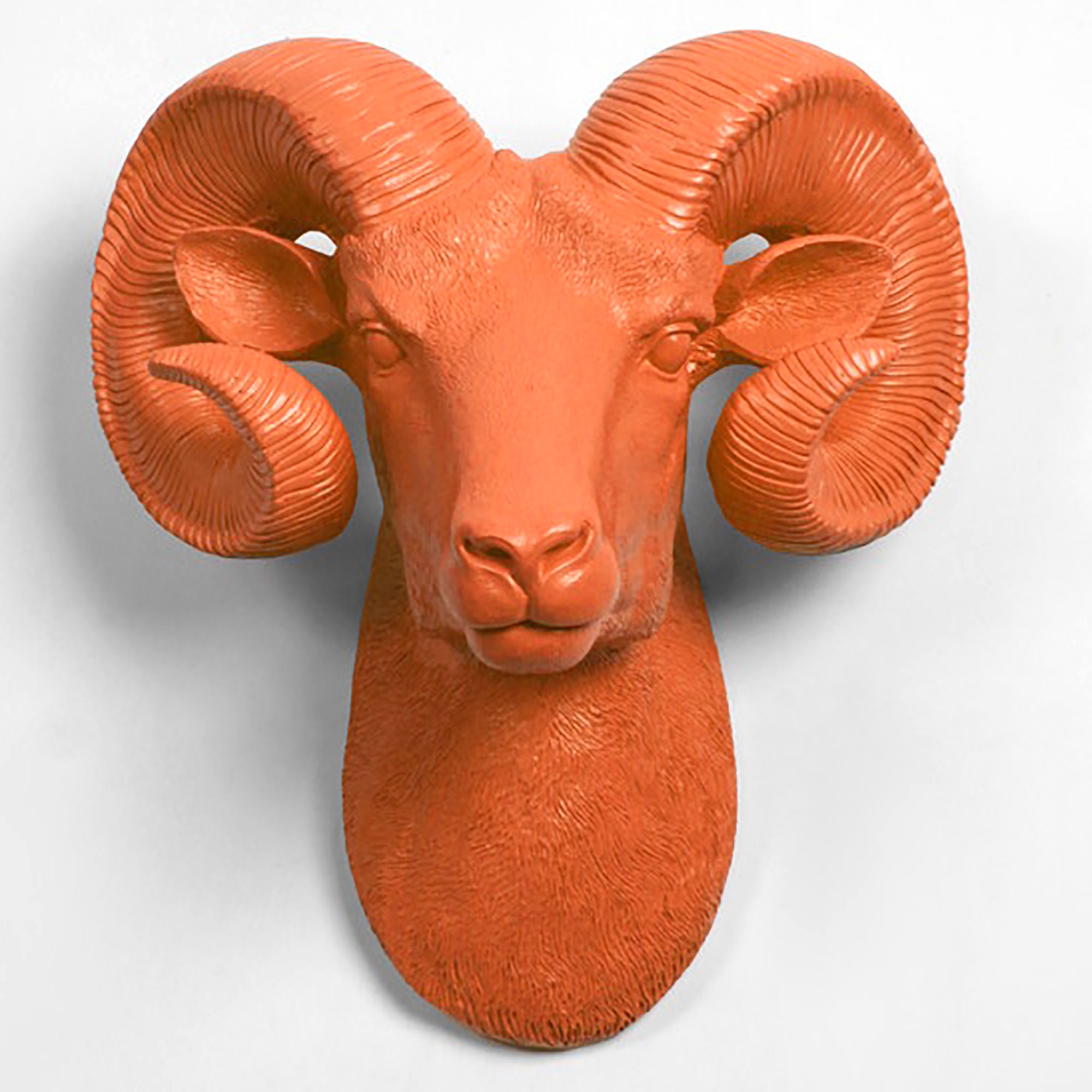 xl Tangerine Ram Head Wall Mount - The Darby Rustic Bighorn Sheep/Ram, Modern Farmhouse Home Decor By White Faux Taxidermy