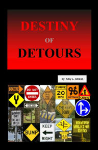 Destiny of Detours Amy L. Allison Author