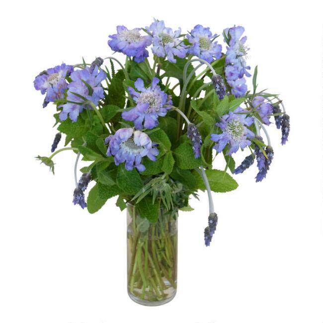 Fresh Scabiosa, Lavender and Mint Bouquet by World Market