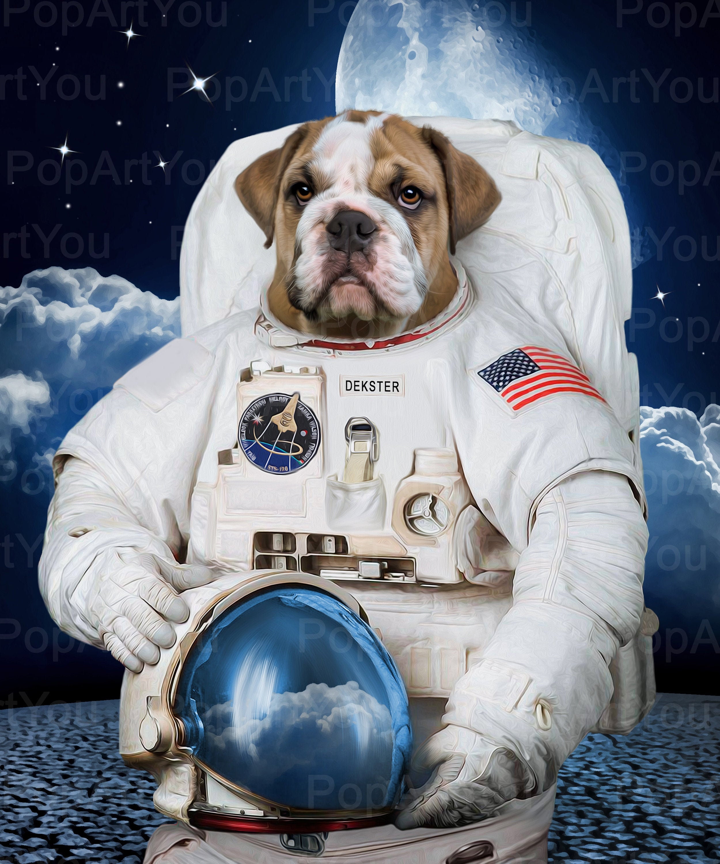 Custom Astronaut Pet Portrait, Portraits, Spacesuit Pet, Space Unique Gifts, Funny Gifts