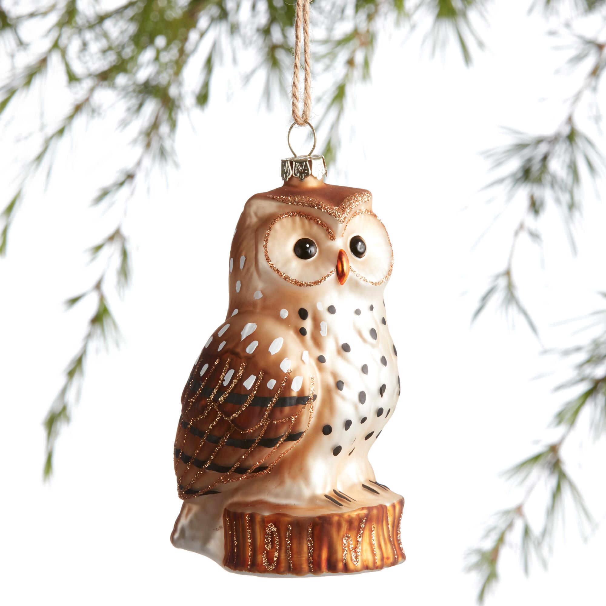 Glass Barn Owl Ornament: Multi by World Market