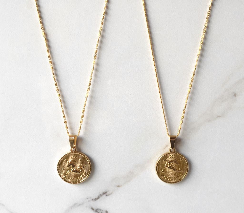 1 Aries Zodiac Coin Medallion Necklace - Astrology Sign - Star Constellations - Gifts - Ram Symbol - Birthday Gifts