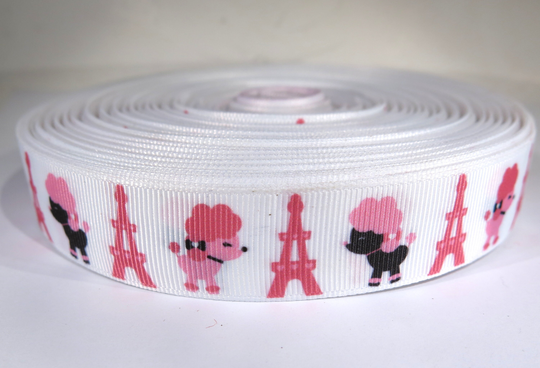 5 Yards Of 7/8 Inch "Paris" Grosgrain Ribbon