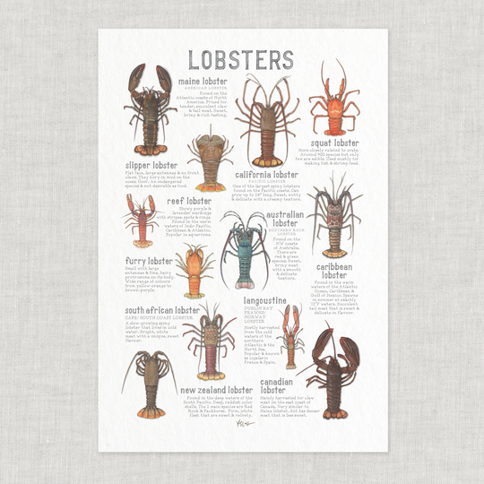 Lobsters Poster/Seafood Food & Cooking Illustrations Art Print Home Decor Culinary Crustacean Lobster Spiny