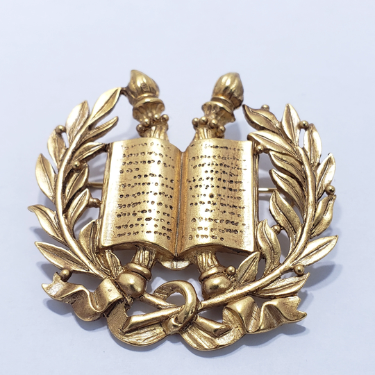 Symbol Of Knowledge Brooch Pin