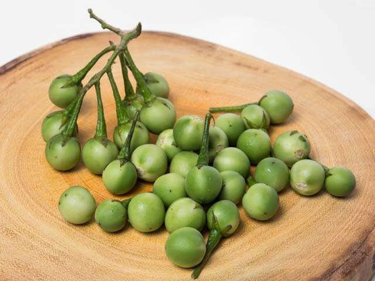 5000+ Seeds | Thai Pea Eggplant Seed Pea Berry Solanum Trovum Turkey Berry Select Seeds Amount