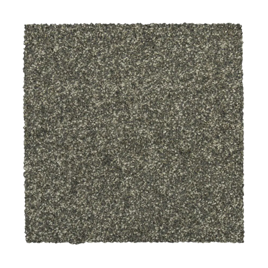 STAINMASTER Vibrant blend II Boulevard Textured Carpet Sample (Indoor) Polyester in Gray | STP33-L006-0808