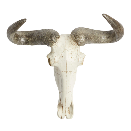Faux Steer Skull Wall Decor: White - Small by World Market