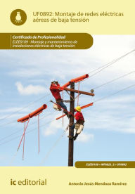 Montaje de redes eléctricas aéreas de baja tensión. ELEE0109: Montaje y mantenimiento de instalaciones eléctricas de baja tensión Antonio Jesús