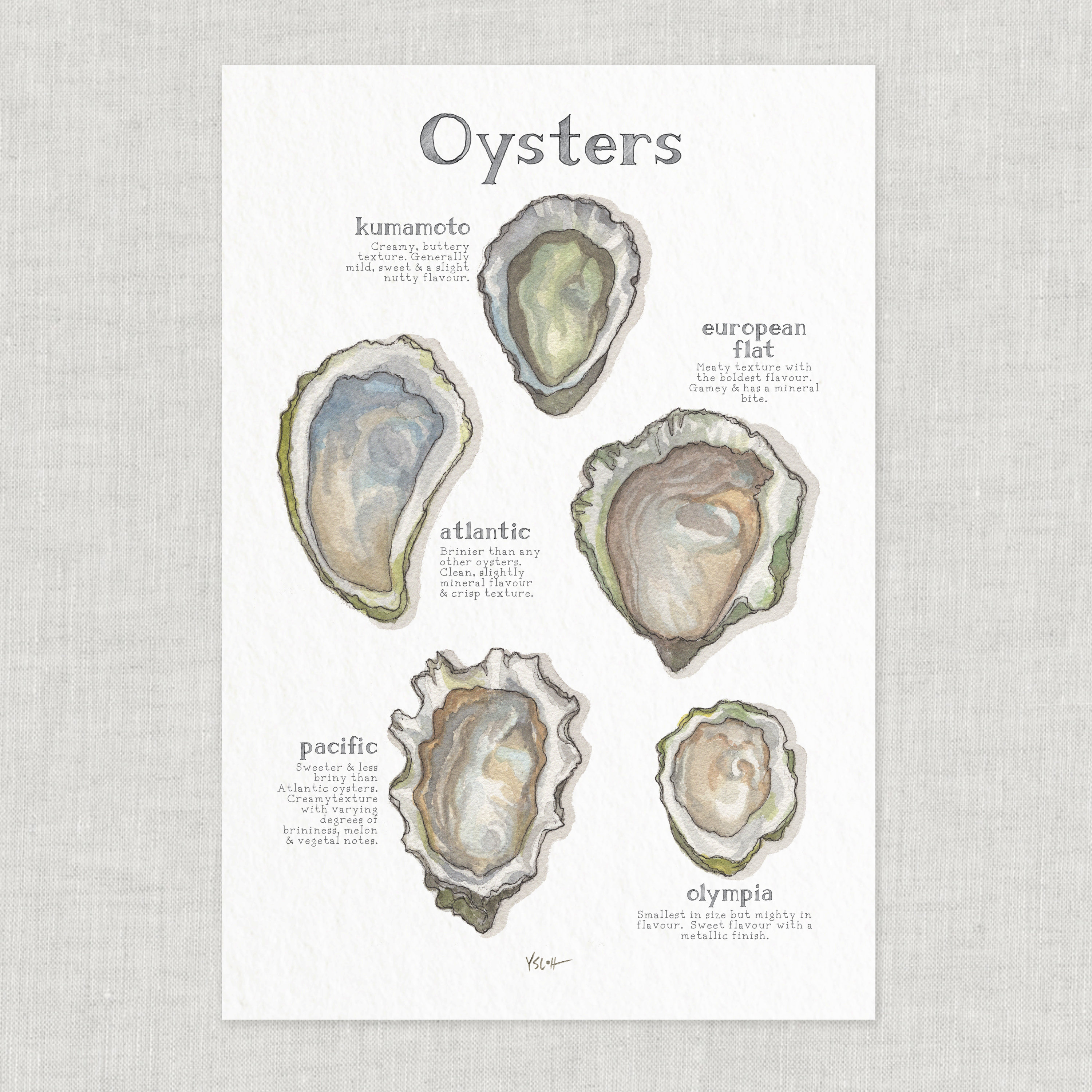 Oysters/Poster Seafood Food & Cooking Illustrations Art Print Home Decor