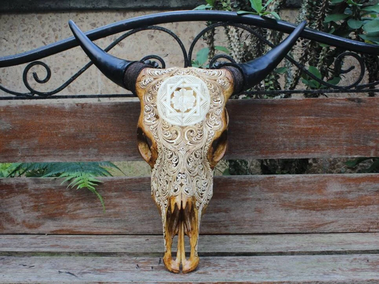 Carved Cow Skull - Real Hand Carved Asian With Horn