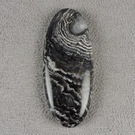stromatolite Cabochon, From Arizona, C5338, Hand Cut By 49Erminerals