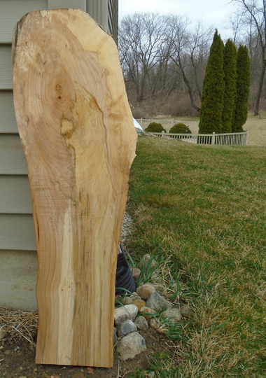 Spalted Maple Live Edge Lumber Slab Craft Art Project 30 1/2" Long 9 1/4" Max. Width 1 5/8" Thick Flattened Sanded