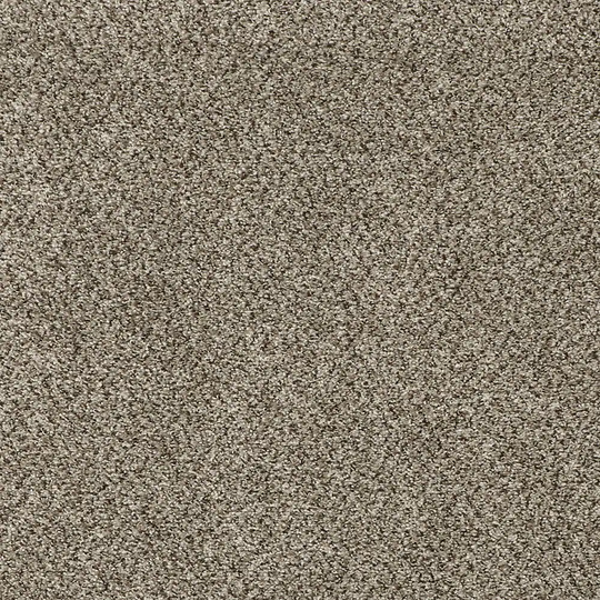 STAINMASTER Vibrant Blend I Sequoia Textured Carpet Sample (Indoor) Polyester in Brown | STP32-L009-0808