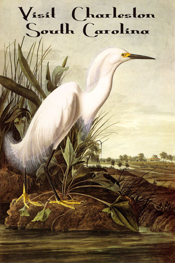 South Carolina Charleston Egret Bird American Travel Tourism Vintage Poster Repro Free S/H in Usa