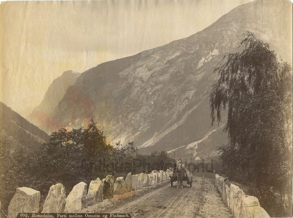 Ramsdalen Norway Horse Carriage in Mountains Antique Albumen Photo