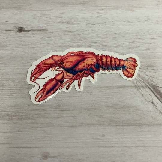 Lobster Sticker Or Magnet | Crustacean Ocean Vintage