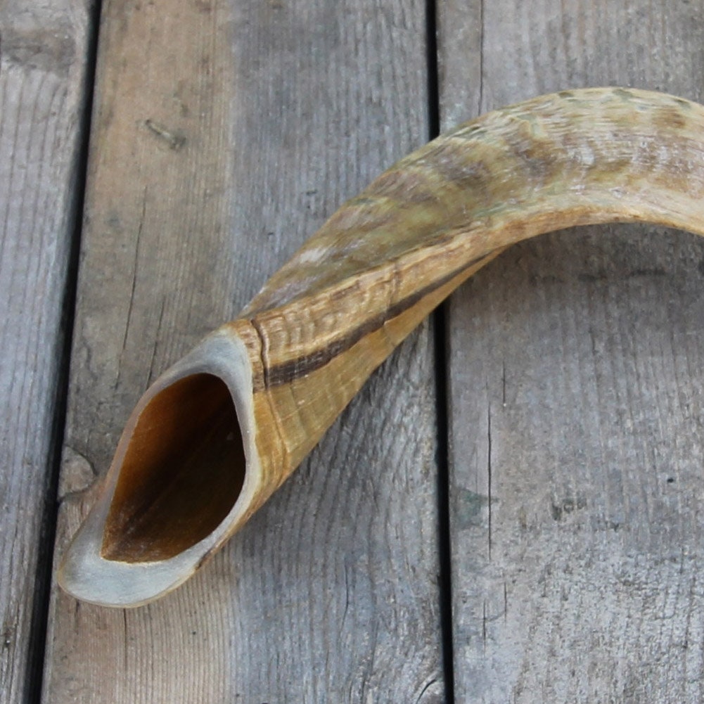 Natural Decorative Ram Horn Paperweight