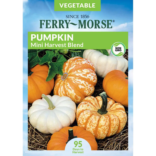 Ferry-Morse 2.5-Gram Pumpkin Mini Harvest Blend (Seed Packet) | 466499.199.907220