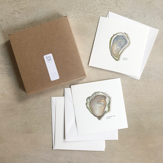 Oysters Cards Box Set/Notecards Flat Watercolor Illustration Gifts Gift Boxes Culinary Oyster Seafood Shellfish