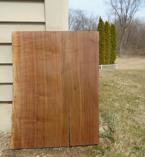 Black Walnut Live Edge Lumber Slab Kiln Dried Project Board Craft Art 22 1/4" Long 17 1/2" Max. Width 1 Thick Flattened Sanded