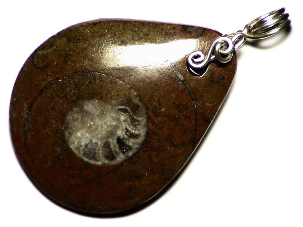 Silver Ammonite Necklace, Real Fossil in Sterling Wire Wrap, Natural Matrix Pendant, Science Christmas Present, Jewelry For Nerds