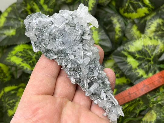Quartz Chlorite Madan Bulgaria Natural Crystal Minerals Specimen Clusters Souvenirs Wholesalemineralsbox
