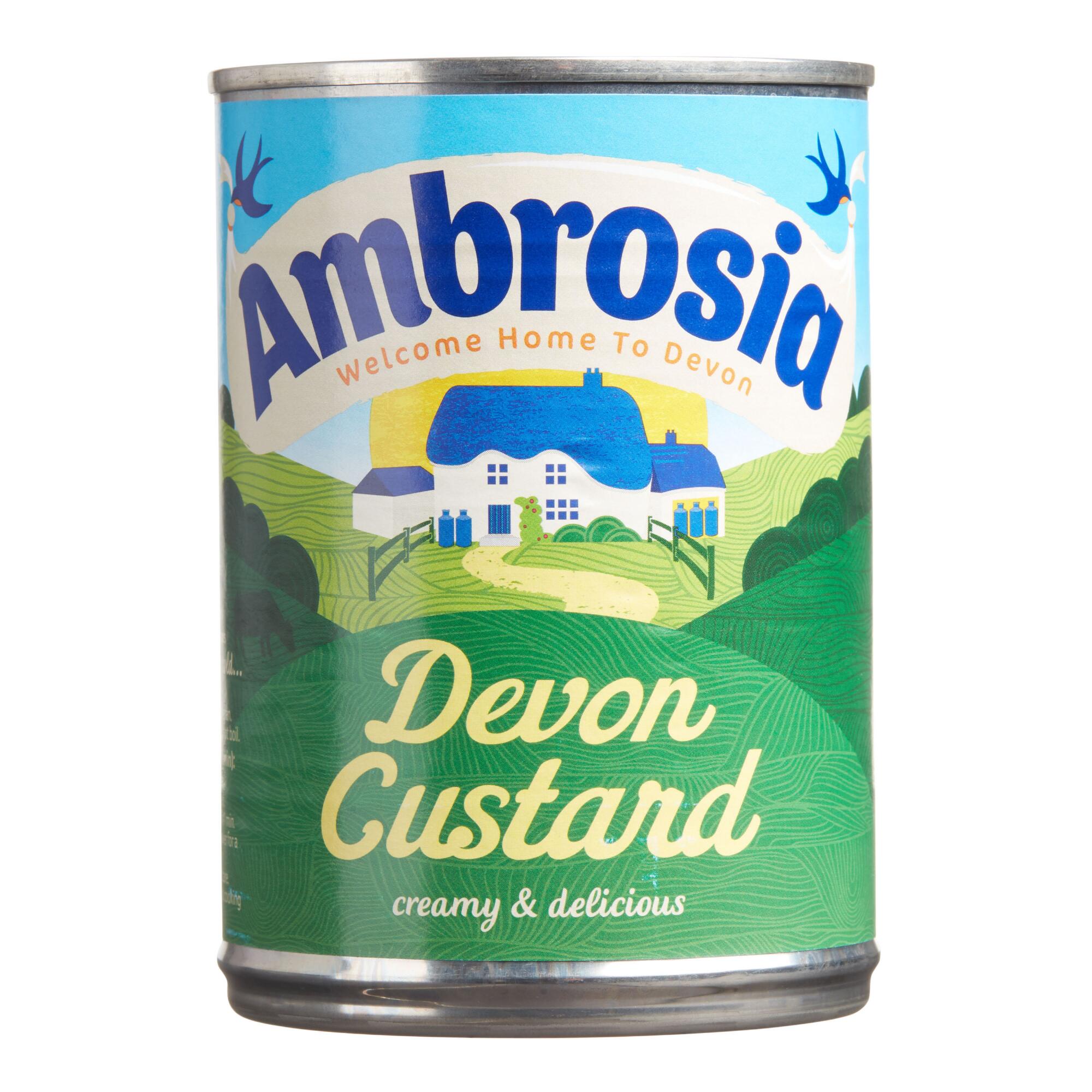 Ambrosia Devon Custard Set Of 2 by World Market