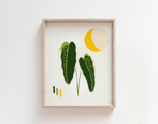 King Anthurium Veitchii Plant Art Print 8 X 10 Mid Century Modern Inspired Illustration