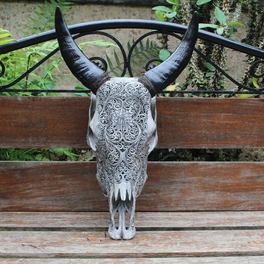 Cow Skull Carving - Real Carved Cow With Buffalo Horn | Original Skull