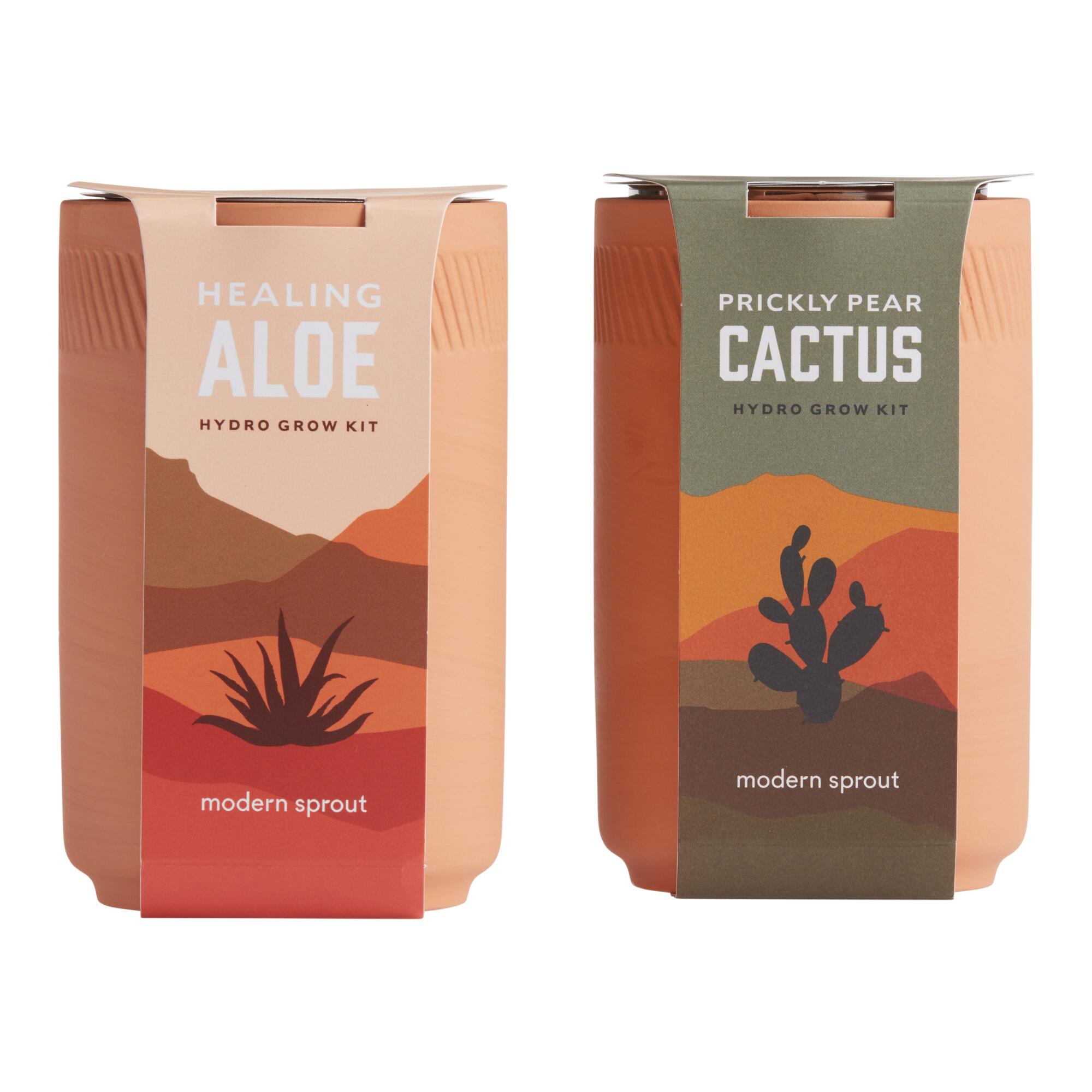 Modern Sprout Terracotta Hydro Grow Kits Set of 2 by World Market