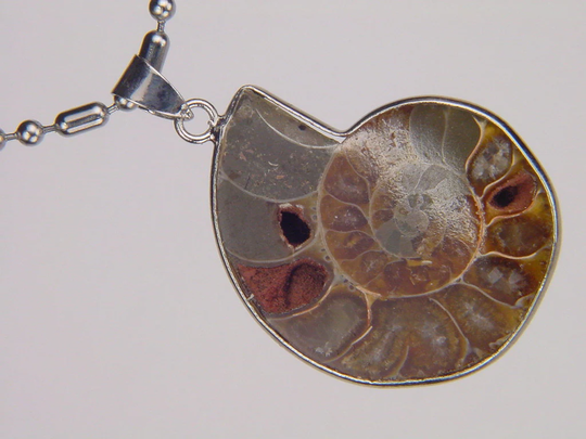 Silver Ammonite Nautiloid Fossil Pendant Necklace Jewelry With 24" Chain 6175K