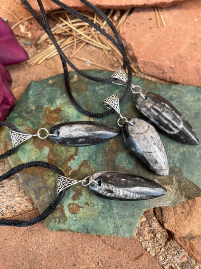 Orthoceras, Crystal Necklace, Sterling Silver, Gift, Polyester, Simple, Unique, Crystallized Fossil, Pendant, Black, Kids
