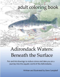Adirondack Waters: Beneath the Surface Dave Campbell Author