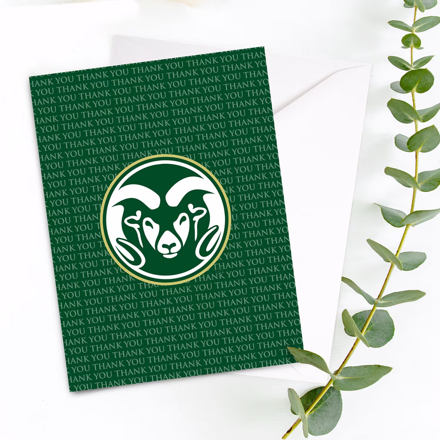 Colorado State University Csu Rams Thank You Card 10 Pack White Envelopes - Officially Licensed Ncaa