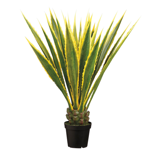 Faux Variegated Agave Americana Plant by World Market