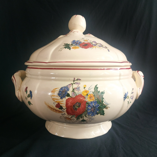 Large French Tureen Digoin Sarreguemines Soupière Vegetables Soup Serving Dish Bowl.vegetable Soup Model Agreste