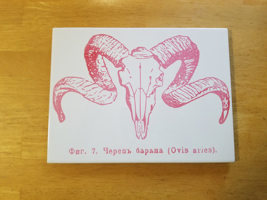 Sheep Ram's Skull Ceramic Table Centerpiece Plate Warmer Aries