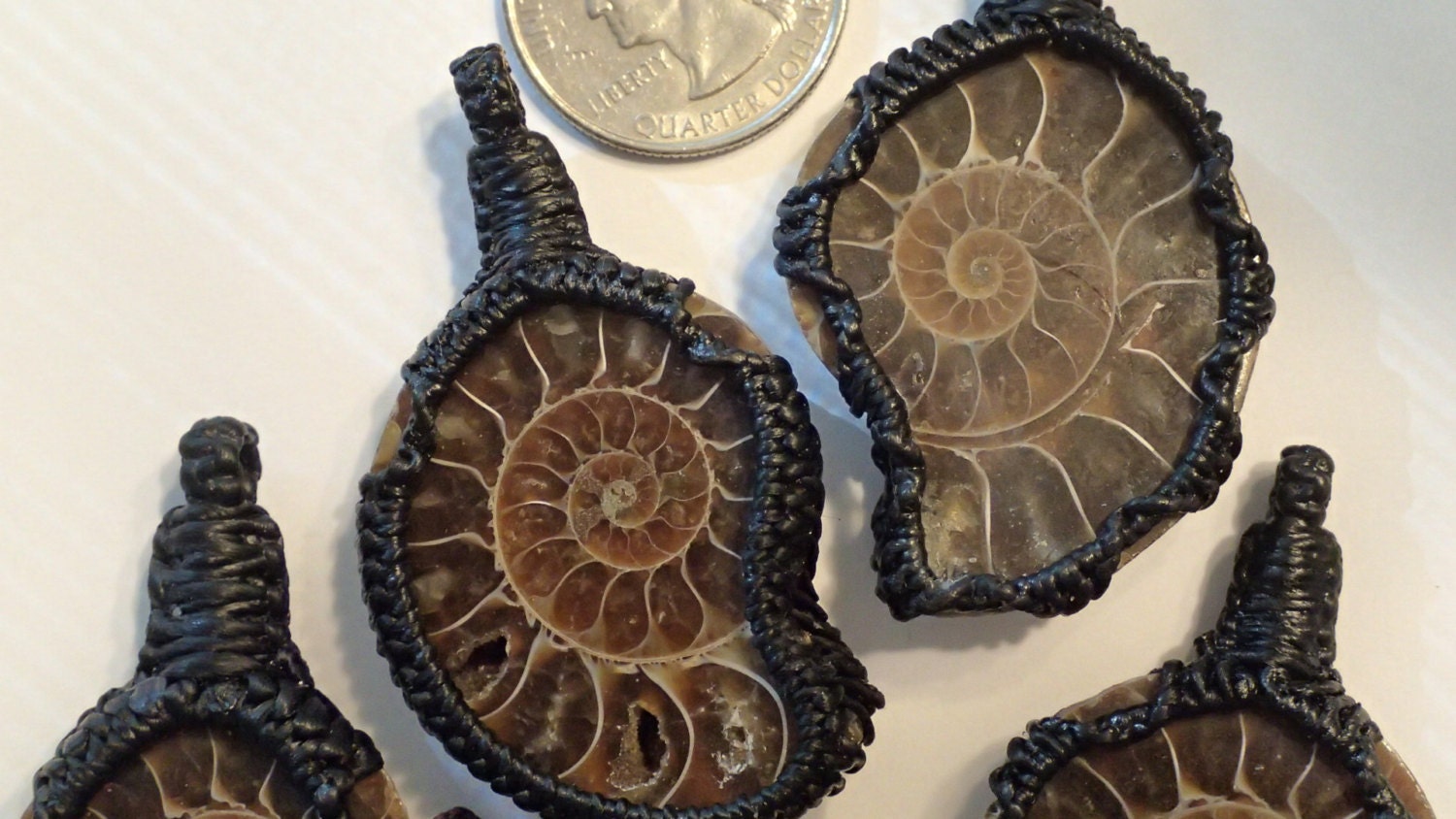 Half Cut Fossil Ammonite Pendant