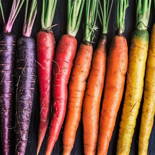 Rainbow Mix Carrot Seeds | Purple Red Yellow Orange Blend Mixed Carrots Vegetable Kaleidoscope Parsnips Seed For 2023 Season Fast Shipping