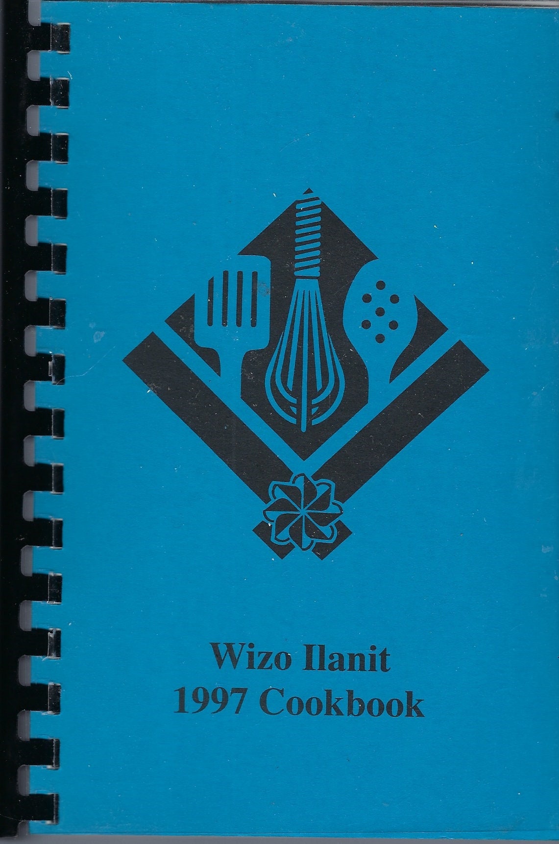Bar Harbor Islands Florida Vintage 1997 Wizo Ilanit Ethnic Jewish & Gourmet Cookbook Fl Community Favorite Recipes Collectible Rare Book
