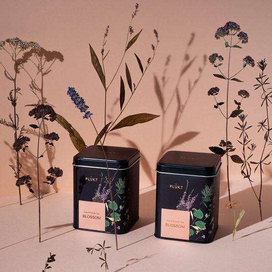Blossom Tea - Nordic Blend, Hand-Picked Tea, Pyramid Bags, Biodegradable, Summer Meadows Packaging, Flower Tea, Calming Ritual, Housewarming