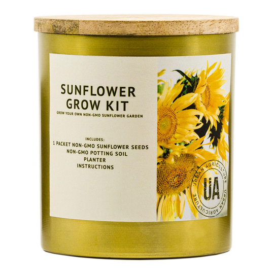 Urban Agriculture Brass Container Sunflower Grow Bag Kit: Multi by World Market