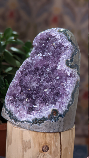 Uruguayan Amethyst Aa Cut Base Geode Cathedral Purple Points H003