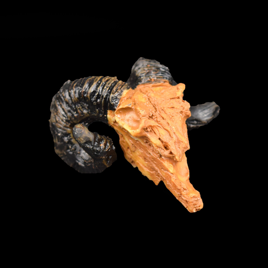 Rams Skull