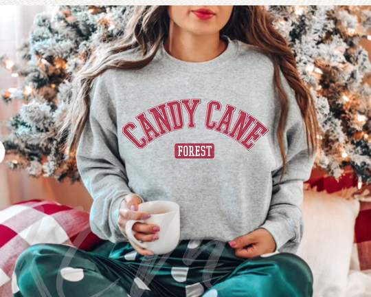 Elf Shirt, Elf Christmas Sweatshirt, Candy Cane Forest, Funny Buddy, Christmas Sweater, Holiday Shirt, Christmas Movie Lover